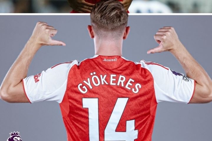 传奇号码🌟阿森纳历任14号：亨利&小老虎&美羊羊，约克雷斯接棒